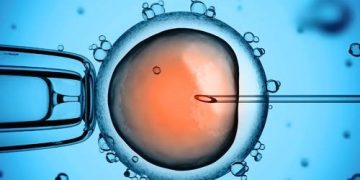 Fellowship in Infertility