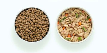 Fresh Pet Cat Food